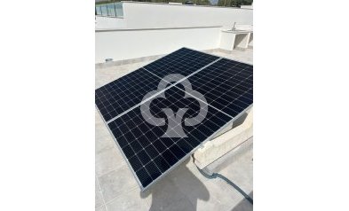 Obra nueva - Chalet independiente -
Pinar de Campoverde