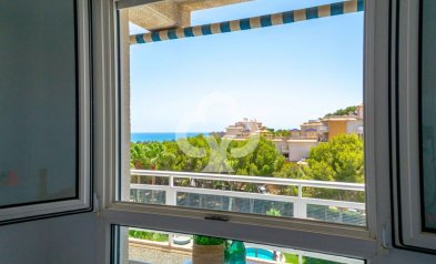 Reventa - Apartamento -
Orihuela Costa - Dehesa de campoamor