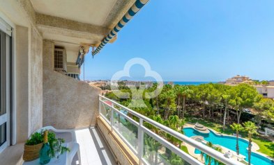 Reventa - Apartamento -
Orihuela Costa - Dehesa de campoamor