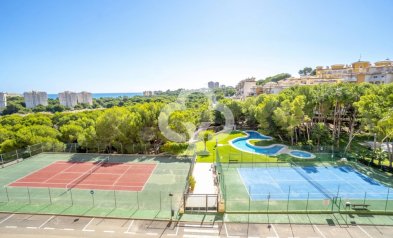 Resale - Apartament -
Orihuela Costa - Dehesa de campoamor