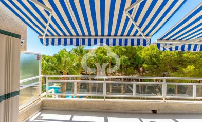 Resale - Apartament -
Orihuela Costa - Dehesa de campoamor