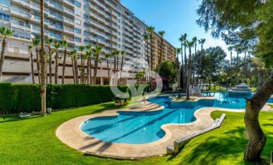 Resale - Apartament -
Orihuela Costa - Dehesa de campoamor