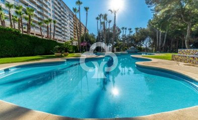 Resale - Apartament -
Orihuela Costa - Dehesa de campoamor