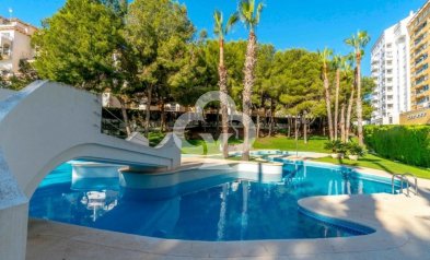 Resale - Apartament -
Orihuela Costa - Dehesa de campoamor