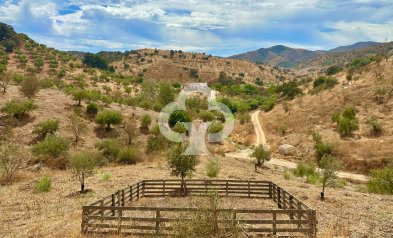 Resale - Finca rústica -
Almogia - South of spain