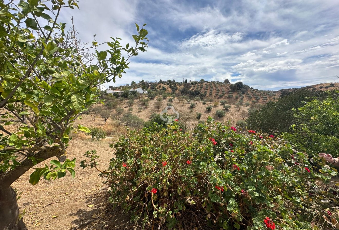 Resale - Finca rústica -
Almogia - South of spain