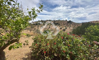 Resale - Finca rústica -
Almogia - South of spain