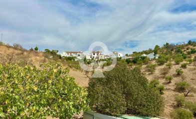 Resale - Finca rústica -
Almogia - South of spain