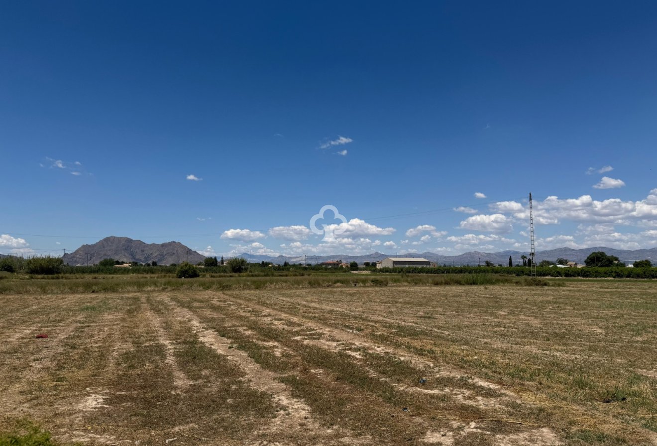 Resale - Apartment / flat -
Almoradí