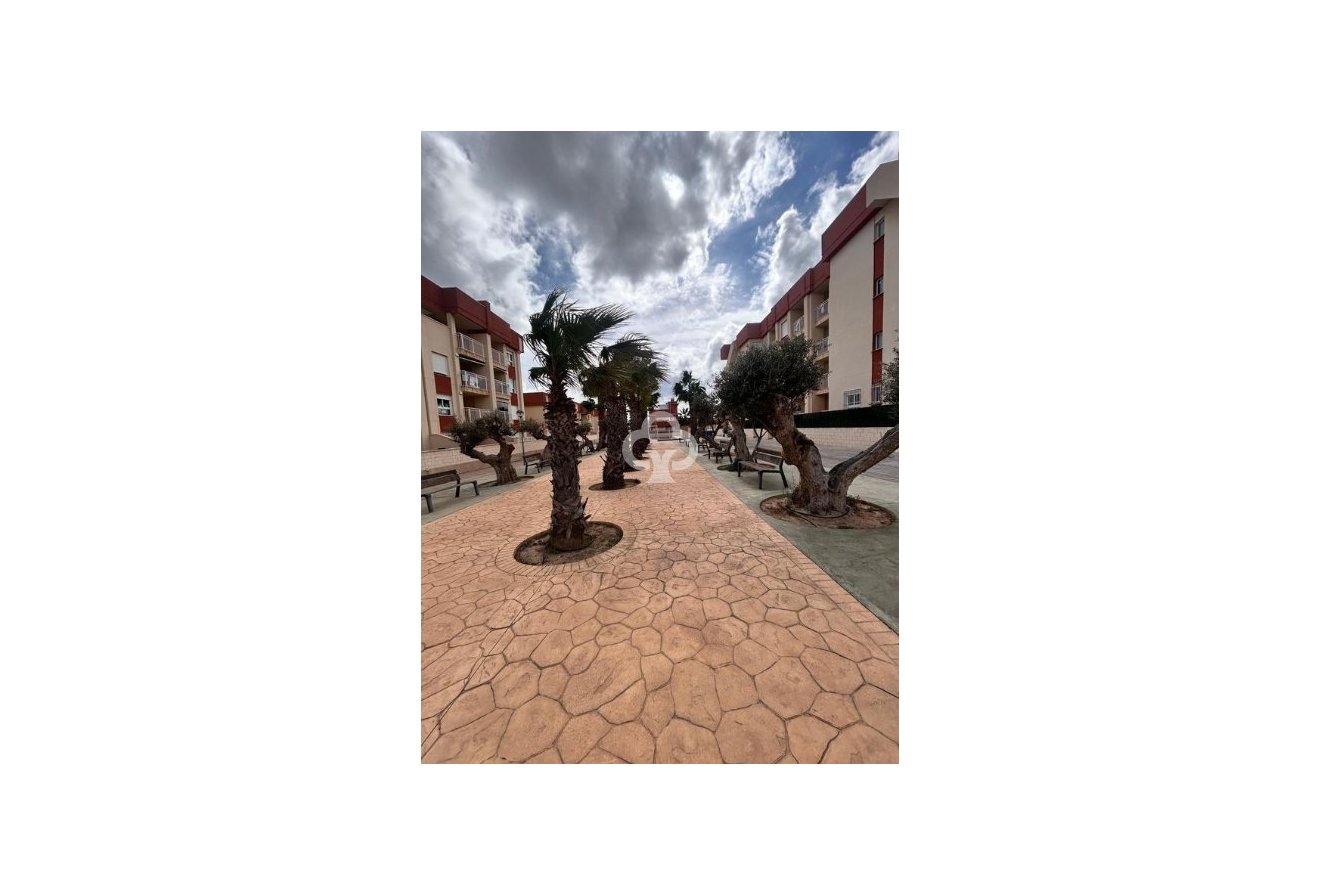 New Build - Áticos -
Orihuela