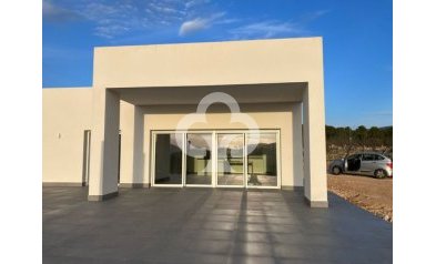 New Build - Villas -
Pinoso - 03569