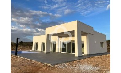 New Build - Villas -
Pinoso - 03569