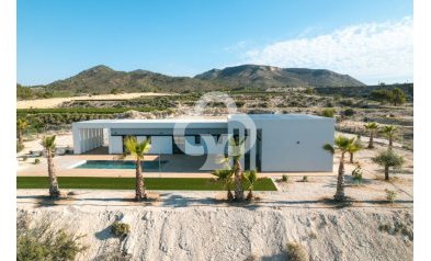 New Build - Villas -
Pinoso - 03569