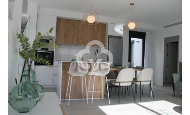 Uudiskohde - Villas -
Torre Pacheco