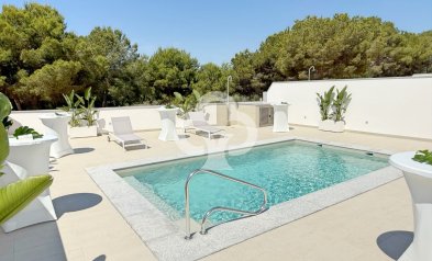 Uudiskohde - Villa -
Pilar de la Horadada