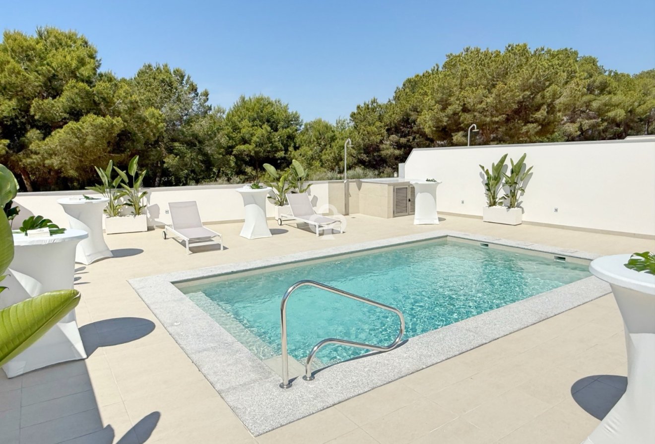 Obra nueva - Villa -
Pilar de la Horadada