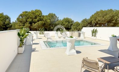 Obra nueva - Villa -
Pilar de la Horadada