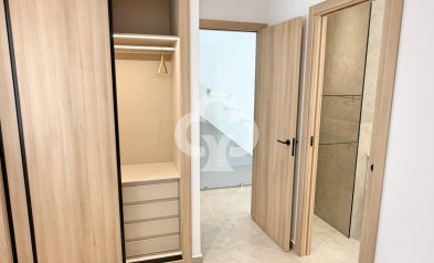 Obra nueva - Villa -
Pilar de la Horadada