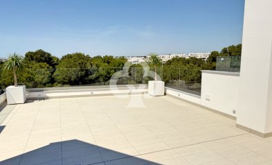 Obra nueva - Villa -
Pilar de la Horadada