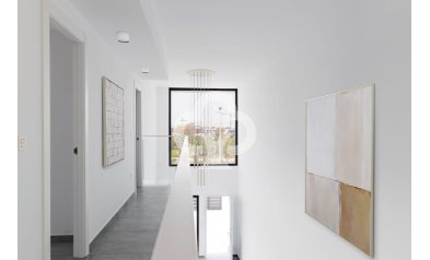 Neue Gebäude - Villas -
Gran Alacant