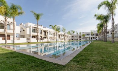 Uudiskohde - Ground floors -
Torrevieja - torrevieja