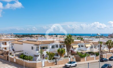 Nybyggnation - Detached houses -
Orihuela