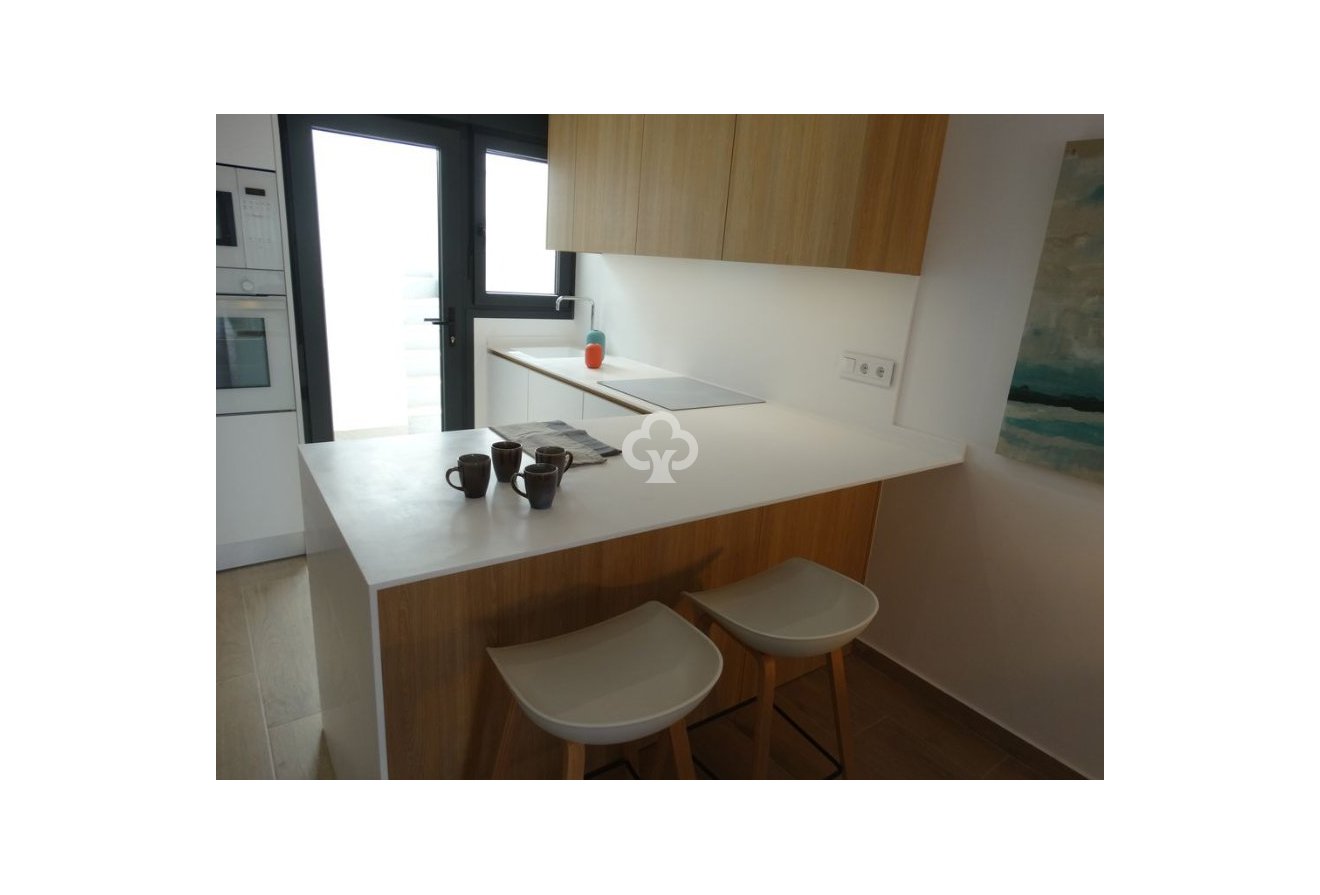 New Build - Áticos -
Pilar de la Horadada - 03190