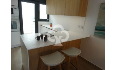 New Build - Áticos -
Pilar de la Horadada - 03190