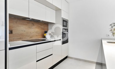 New Build - Bungalows -
Torrevieja - 03185, Calle Ramón Rubial, 30