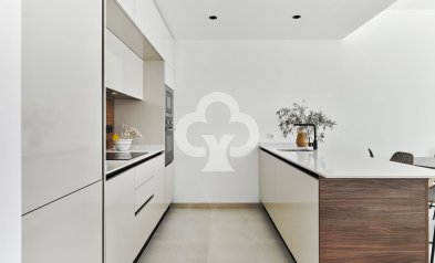 New Build - Bungalows -
Torrevieja - 03185, Calle Ramón Rubial, 30