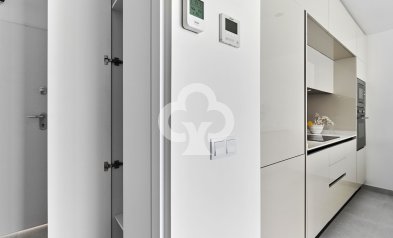 New Build - Bungalows -
Torrevieja - 03185, Calle Ramón Rubial, 30