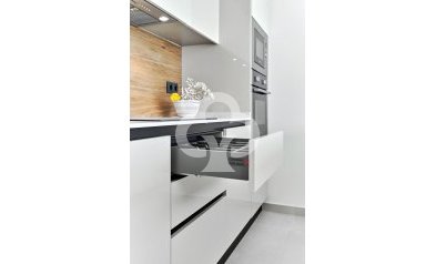 New Build - Bungalows -
Torrevieja - 03185, Calle Ramón Rubial, 30