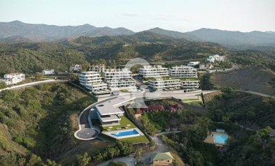 New Build - Apartamentos -
Estepona - Calle Torrevigia s/n