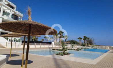 Obra nueva - Penthouses -
Denia