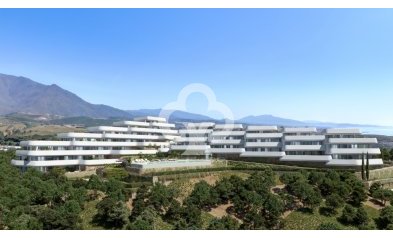 New Build - Bajos -
Casares - 29690