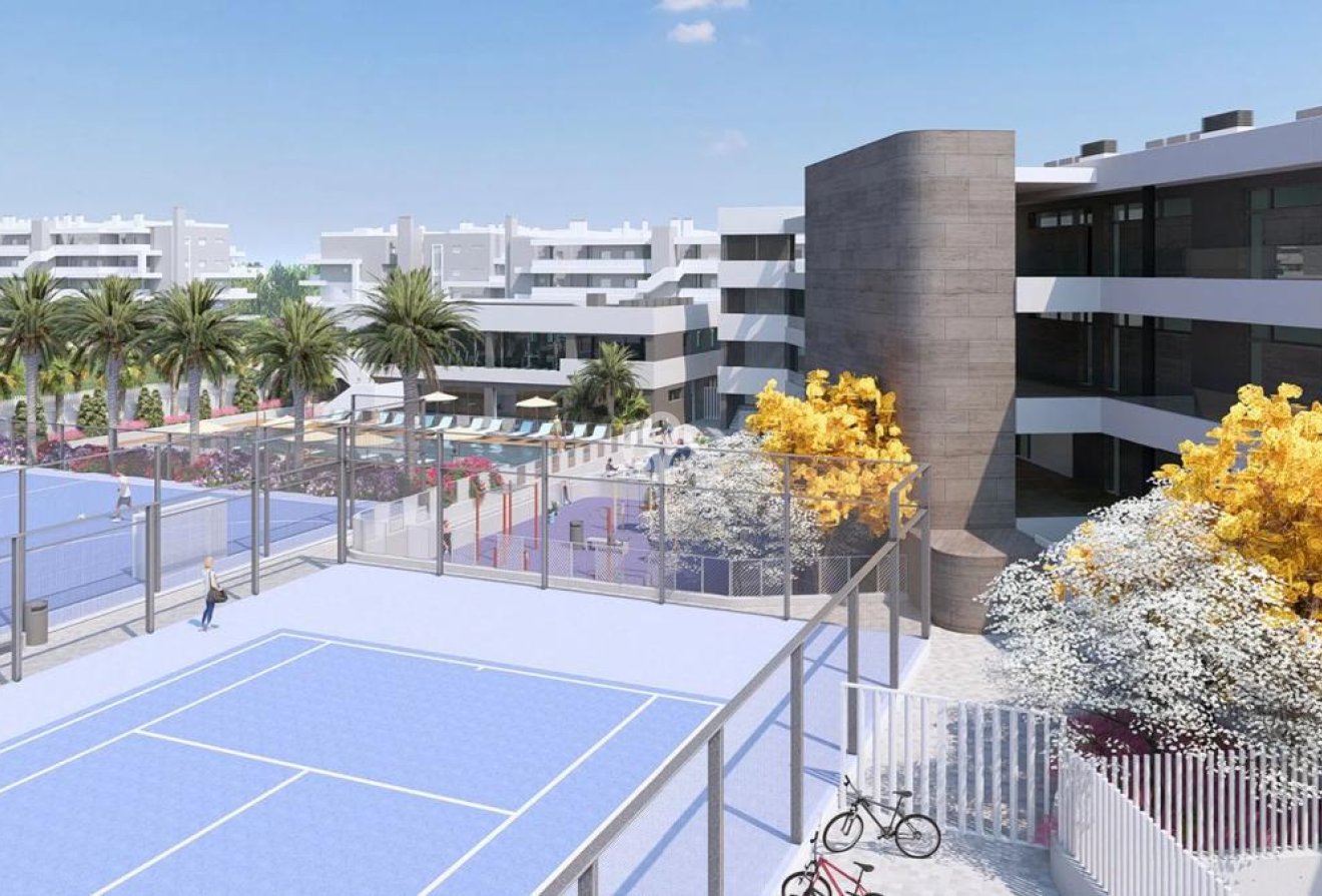 New Build - Apartamentos -
Torrevieja - Calle Jose Carreras, 3