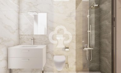 New Build - Villas -
Murcia - Calle Vial 1 Mosa Trajectum, 307