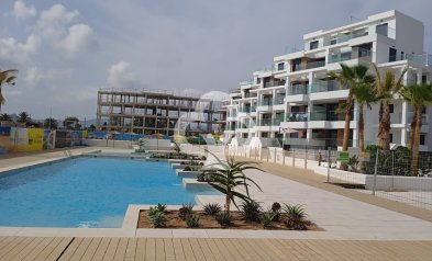 Neue Gebäude - Penthouses -
Denia