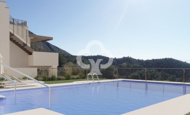 Obra nueva - Apartamentos -
Istan