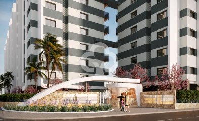 New Build - Apartamentos -
Torrevieja - 03189