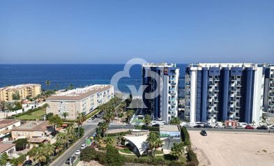 New Build - Apartamentos -
Torrevieja - 03189