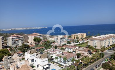 New Build - Apartamentos -
Torrevieja - 03189