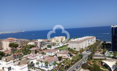 New Build - Apartamentos -
Torrevieja - 03189