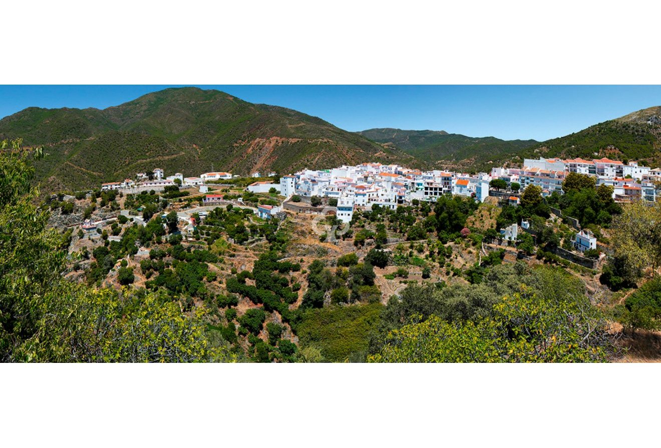 New Build - Adosados -
Istan - 29611