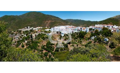 New Build - Adosados -
Istan - 29611