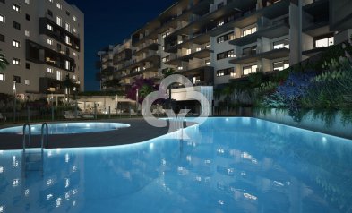 Obra nueva - Flats -
Orihuela