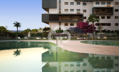 Uudiskohde - Flats -
Orihuela