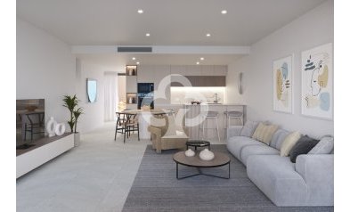 New Build - Apartamentos -
Torre Pacheco