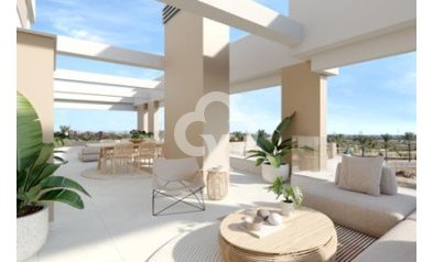 New Build - Apartamentos -
Torre Pacheco