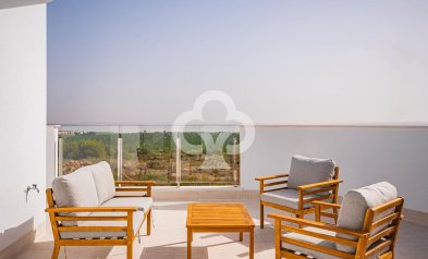 Uudiskohde - Bungalows -
Torrevieja - 03186, Avenida Denia s/n